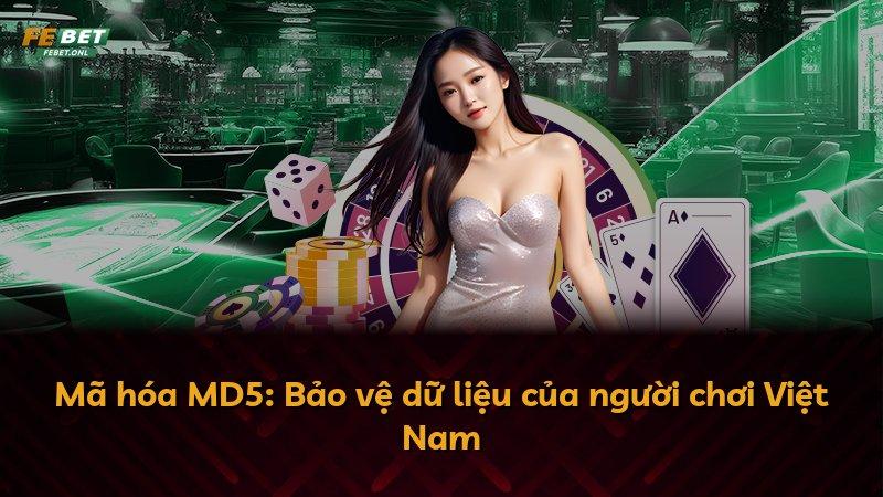 Mã hóa MD5: Bảo vệ dữ liệu của người chơi Việt Nam